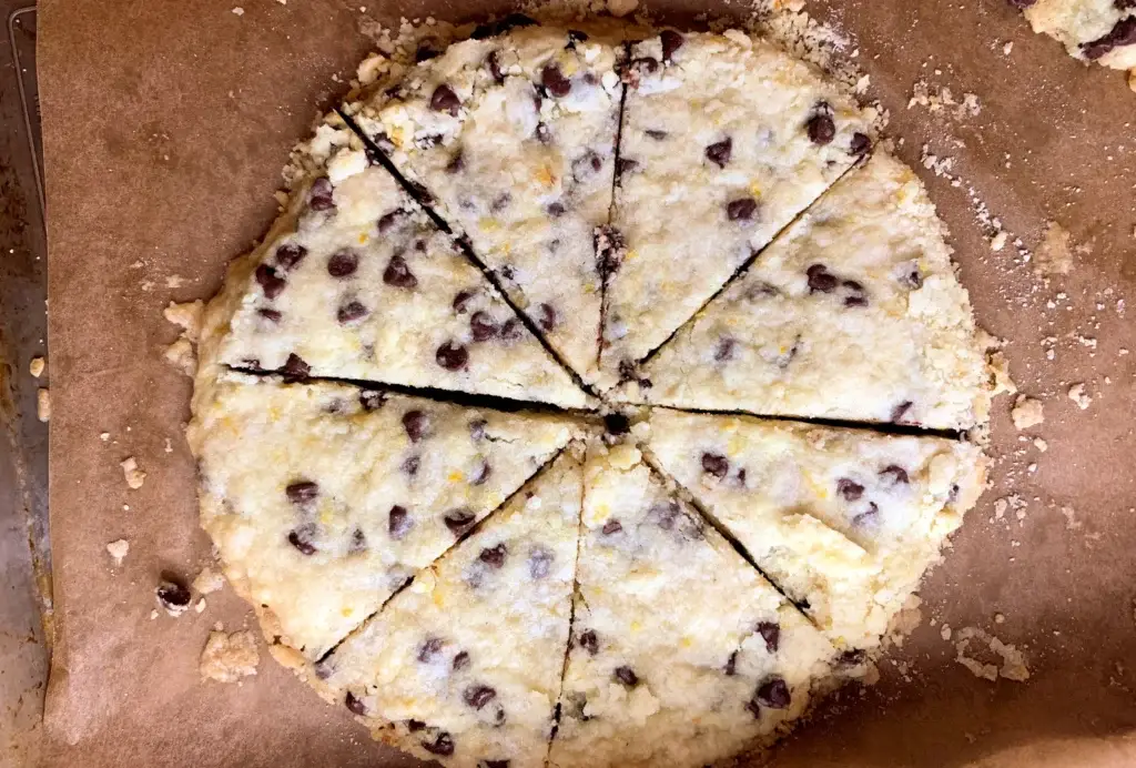 Divided chocolate chip orange shortbread