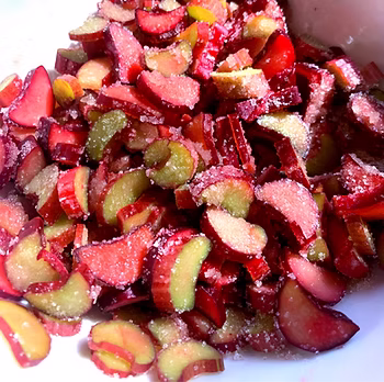 Chopped rhubarb